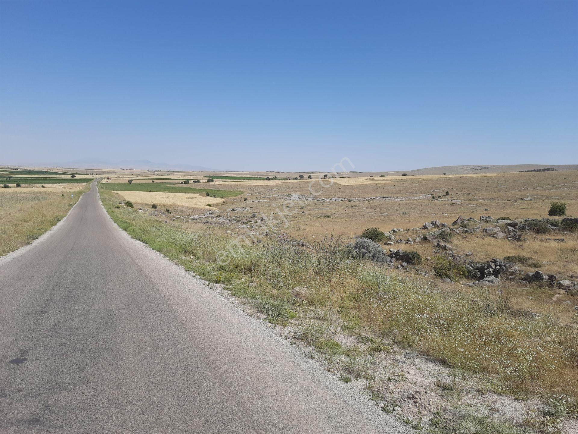 Güzelyurt Yeni Satılık Tarla Güzelyurt Anayol Üzeri Tarla Yol Üzeri Shibinden