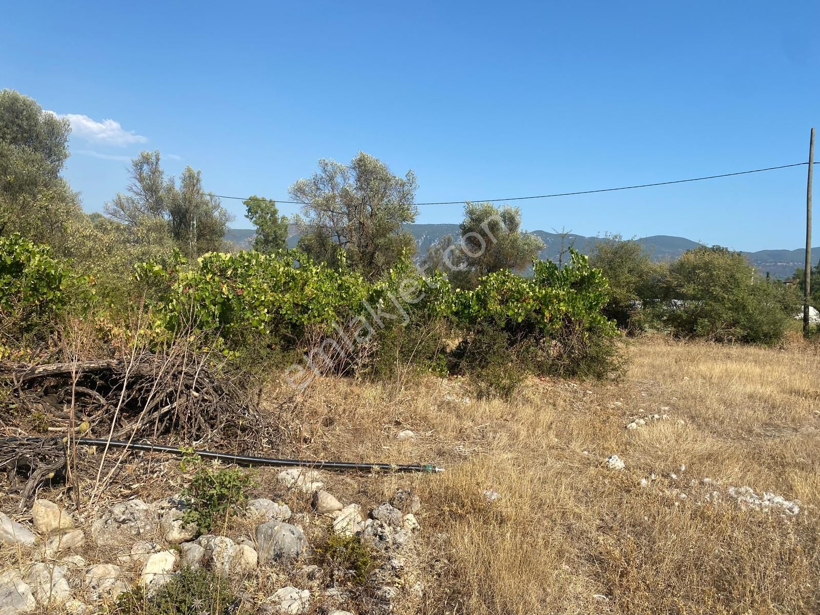 Kaş Uğrar Satılık Tarla İş Kuracagım İçin Acil