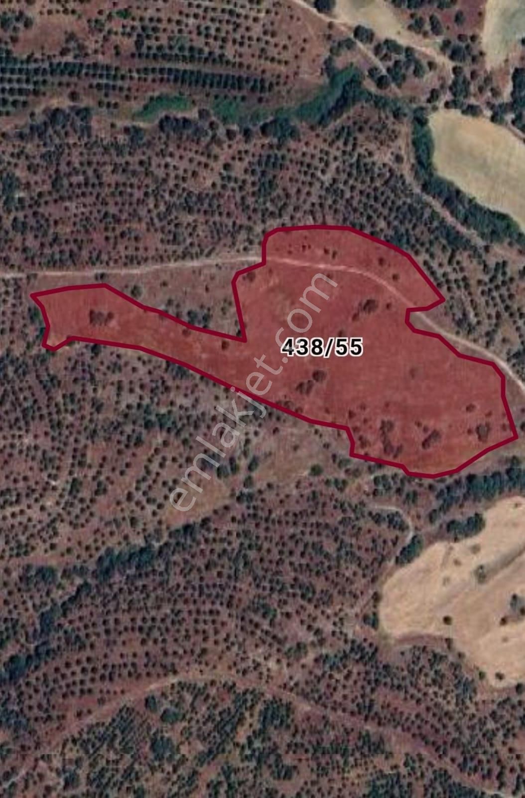 Uşak Eşme Yeleğen Kasabasında 22183m2 Satılık Tarla - Görsel 5