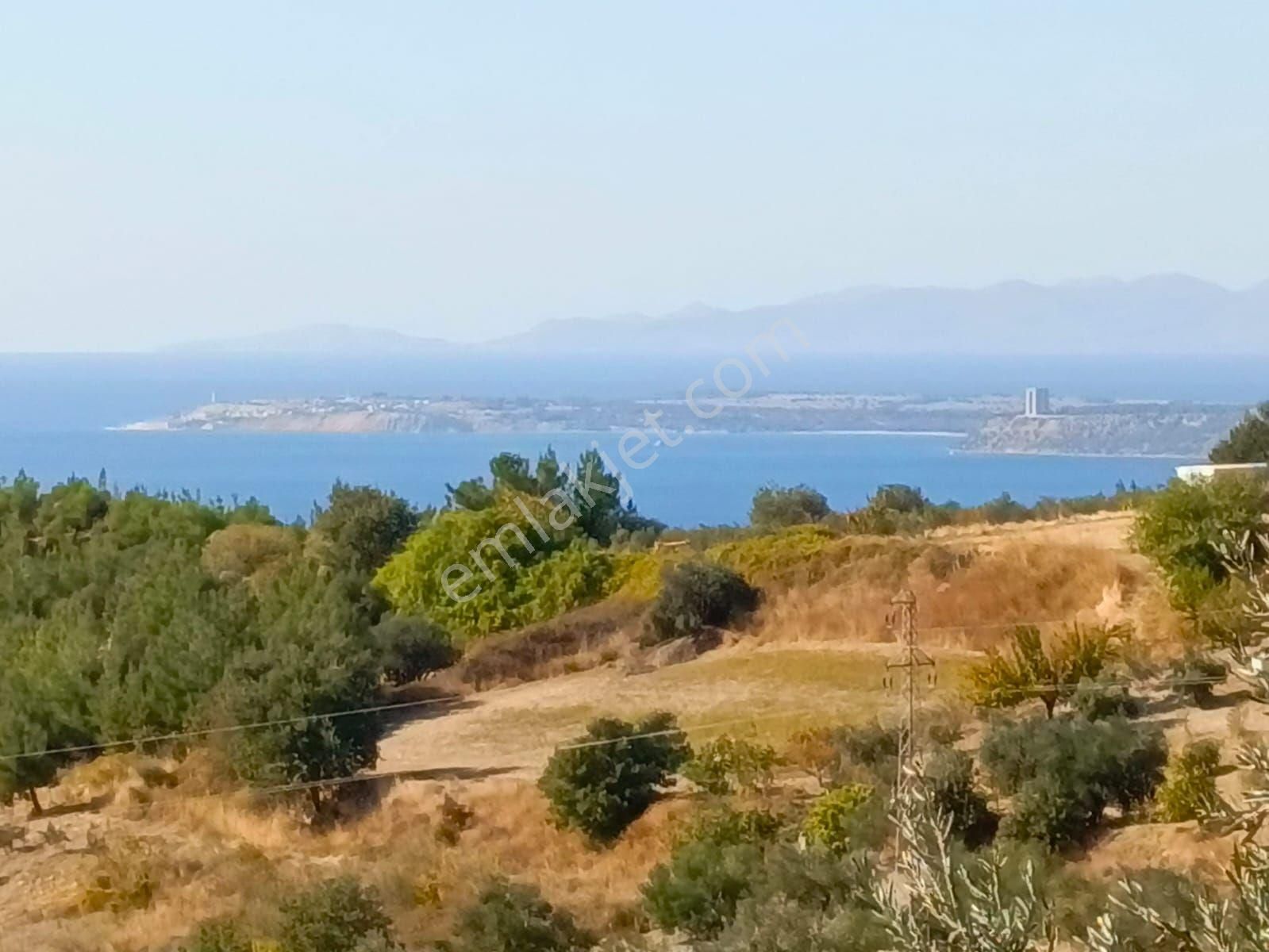 Çanakkale Merkez Erenköy Köyü (Merkez) Satılık Tarla Çanakkale Merkez İntepe Köyünde Çok Acill Satılık Tarla Full Deniz Manzarasılı