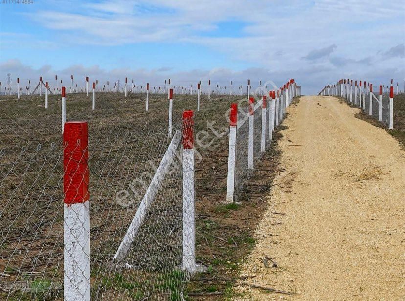 Kırklareli Vize Satılık Arazi Köşebaşı İki Adet Arsa Sahibinden !