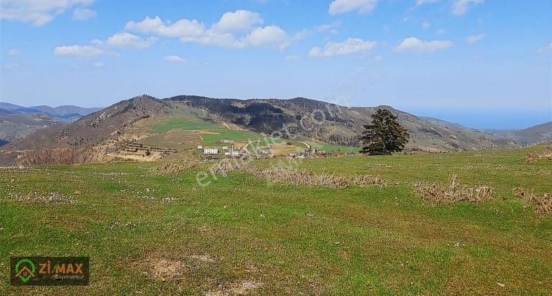 Alaçam Yoğunpelit Satılık Tarla Deniz Ve Doğa Manzaralı Uygun Tarla (3722 M2)