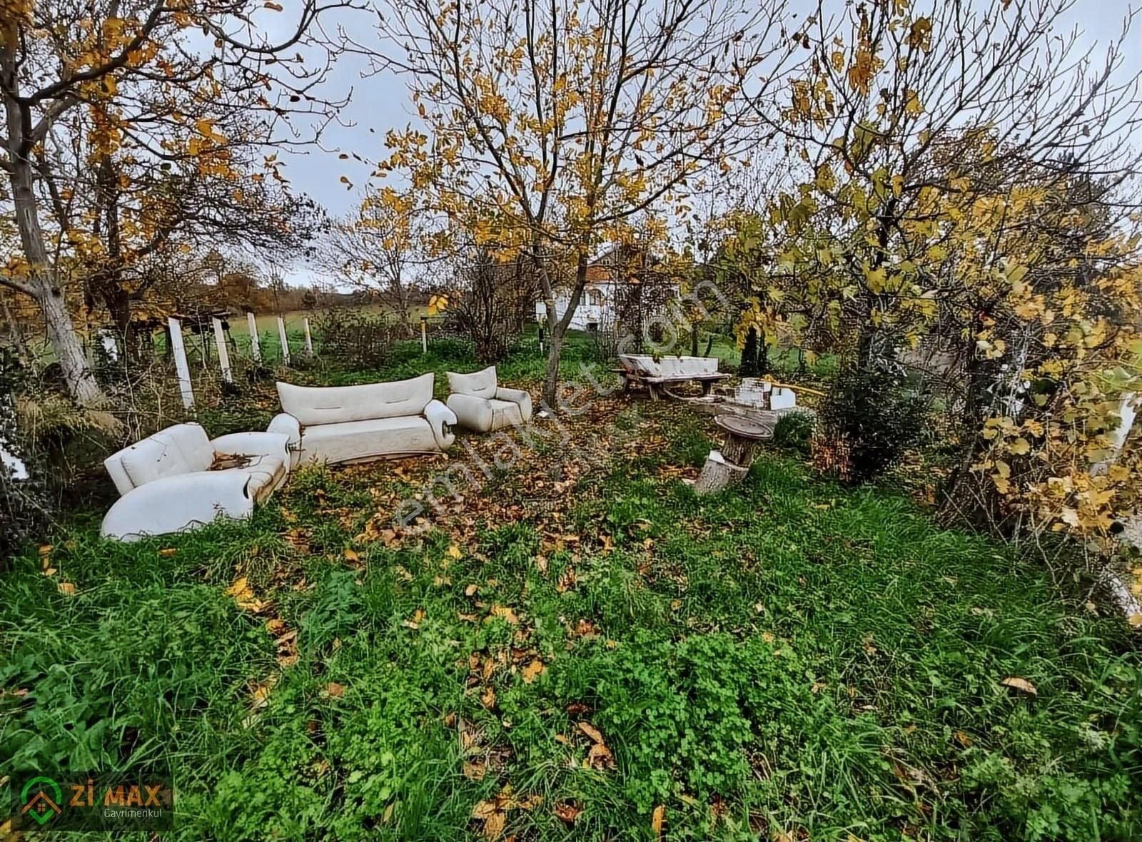 Sinop Merkez Ahmetyeri Köyü (Merkez) Satılık Bağ & Bahçe Sinopta Ev Yapılabilir Hobi Bahçesi