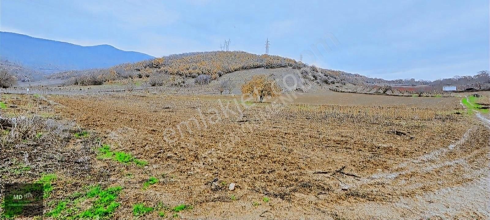 Kestel Seymen Satılık Tarla Kestel Seymen Köyde Satılık 2 Adet Hobi Bahçesi