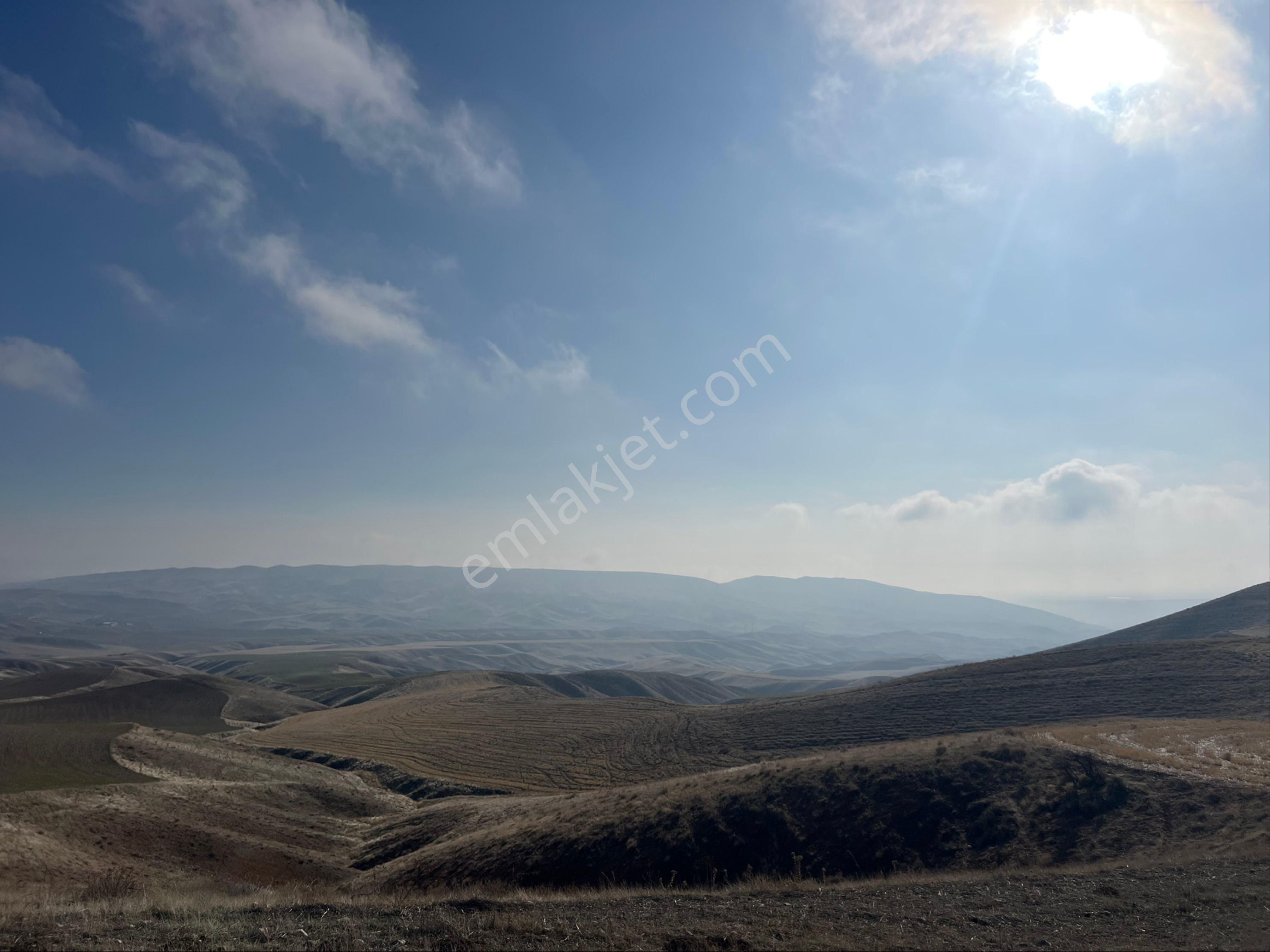 Yazıhan Karaca Satılık Tarla Yazıhan Satılık Tarla