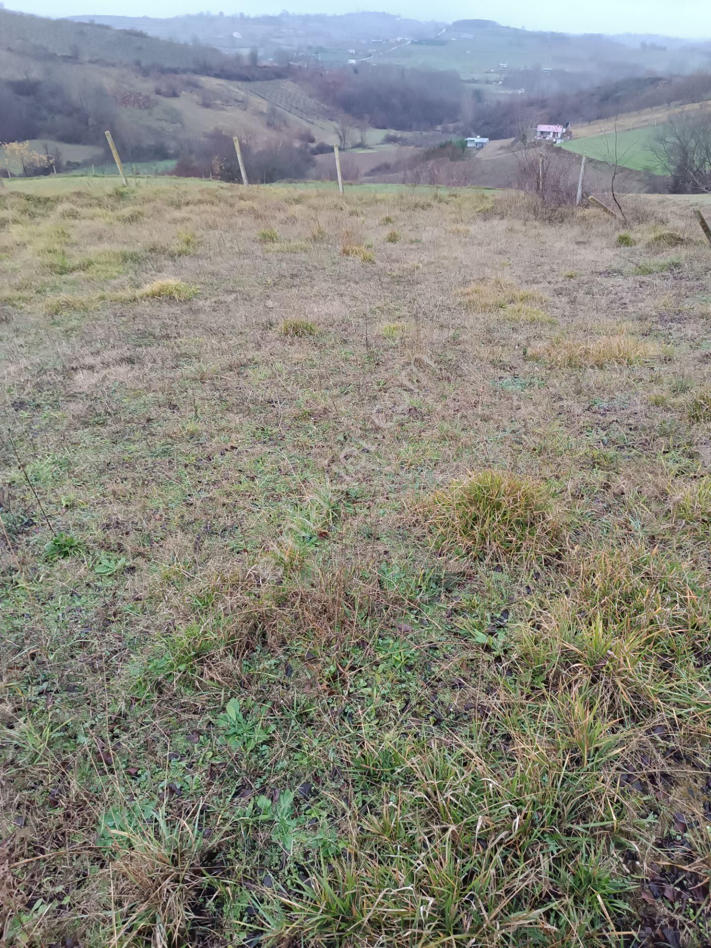 Kandıra Mülküşehsuvar Satılık Tarla Kandıra Mülküşehsuvarda Yatırımlık Harika Tarla