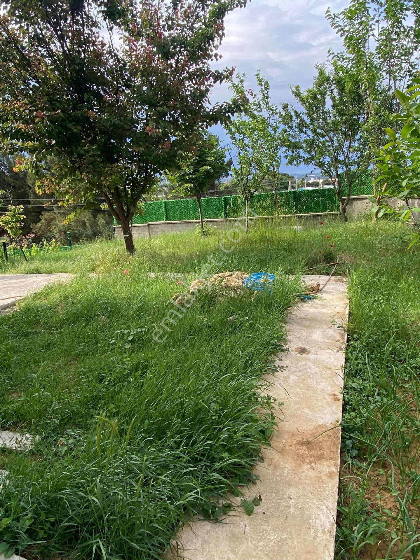 Keşan Mecidiye Köyü (Cumhuriyet) Satılık Daire Satılık Müstakil Deniz Evi