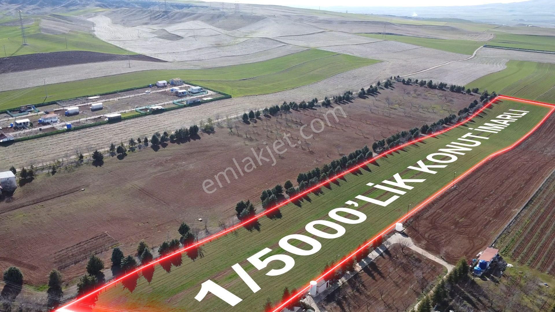 Polatlı Macun Satılık Bağ & Bahçe Polatlı Macun 16.450m² Tek Tapu 1/5000 Konut İmarlı