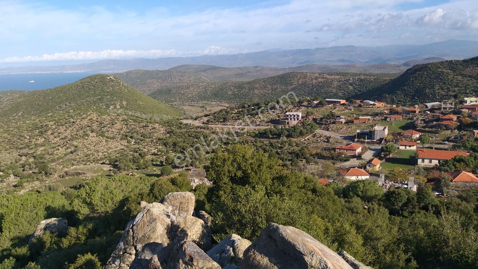 Dikili Merdivenli,de Karşısı Ege & Midilli Satılık On Dönüm Tarla - Görsel 13