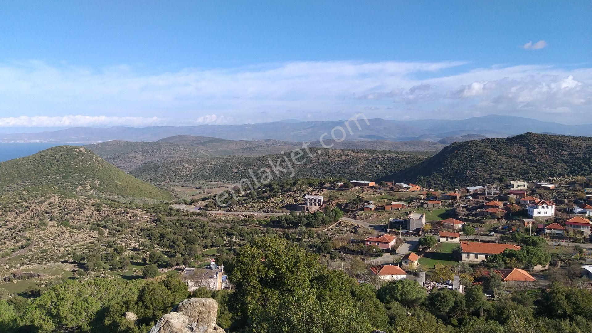 Dikili Merdivenli,de Karşısı Ege & Midilli Satılık On Dönüm Tarla - Görsel 6