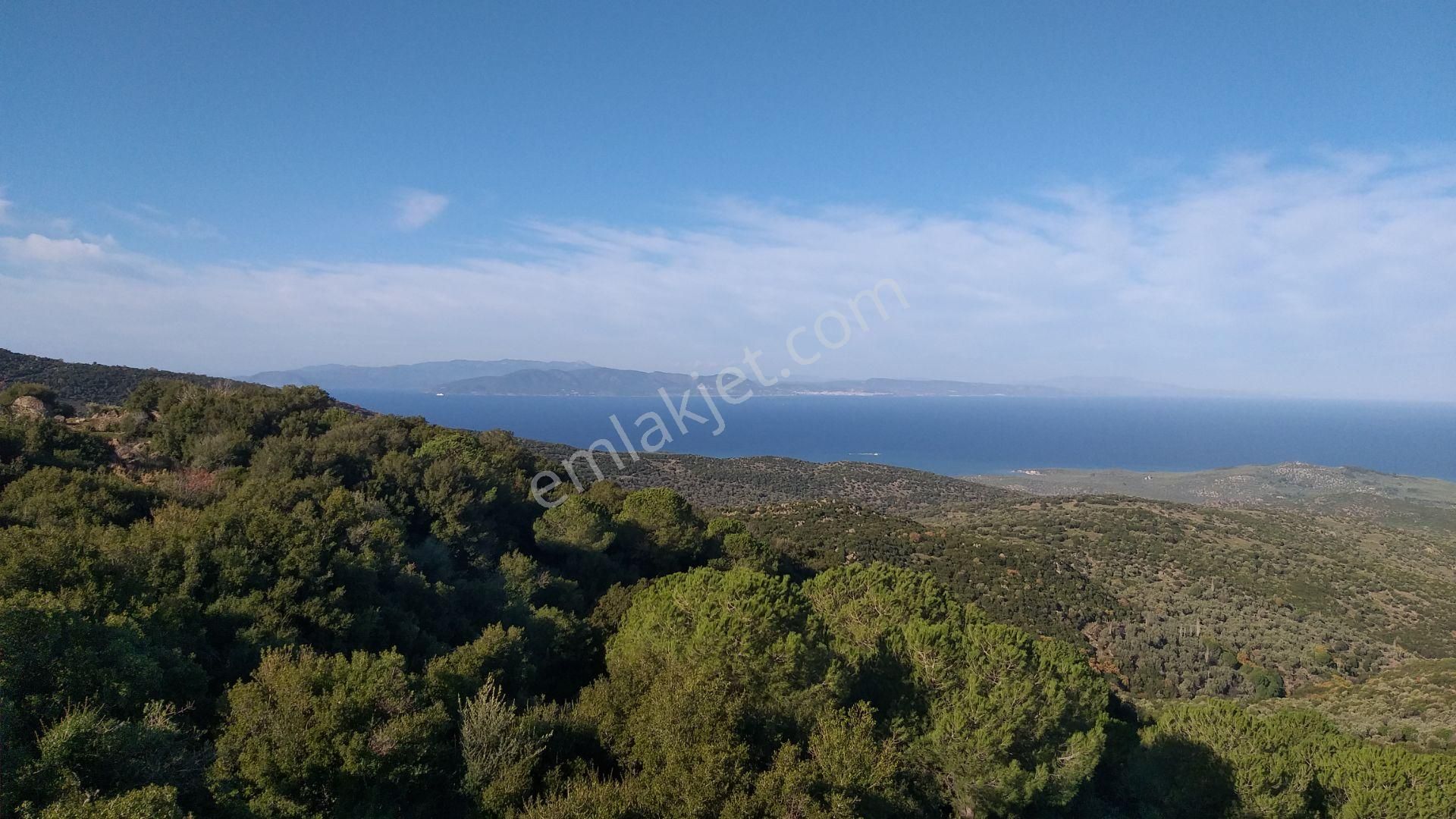 Dikili Merdivenli,de Karşısı Ege & Midilli Satılık On Dönüm Tarla - Görsel 10