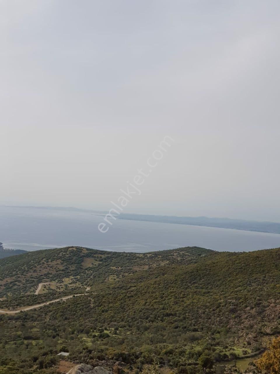 Dikili Merdivenli,de Karşısı Ege & Midilli Satılık On Dönüm Tarla - Görsel 26