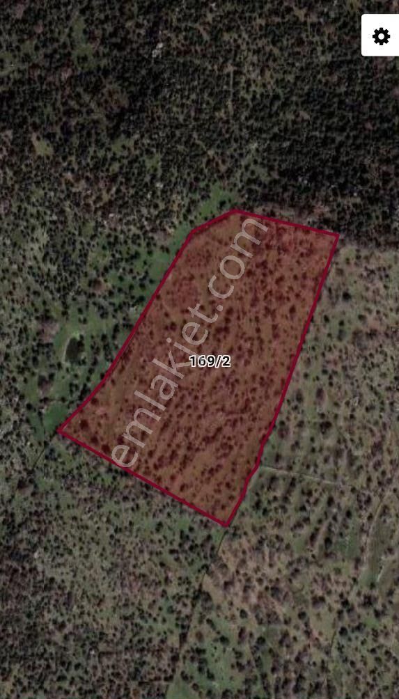 Dikili Merdivenlide Satılık 400mtr Rakımlı 36dönüm Tarla - Görsel 21