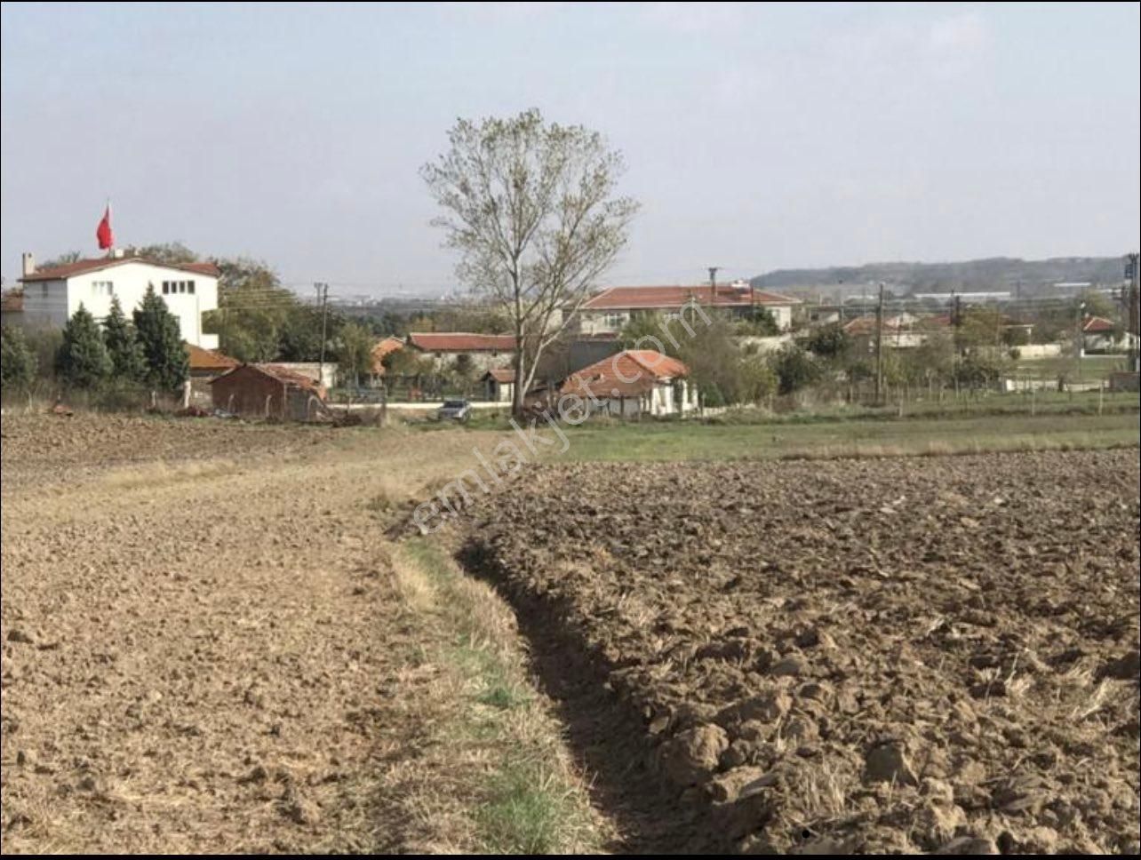 Ergene Yulaflı Satılık Konut İmarlı Yulaflı 568m2 İmarlı Arsa Köyiçinde