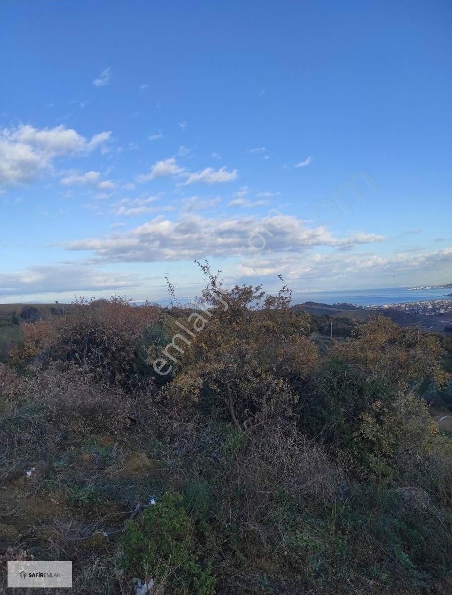 Çınarcık Şenköy Köyü Satılık Villa İmarlı Şenköyde Deniz Ve Doğa Manzaralı Arsalar