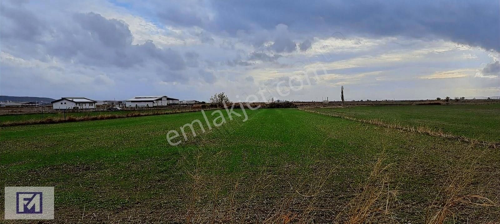 Foça Kemal Atatürk Satılık Tarla İmara Yakın Satılık Arazi