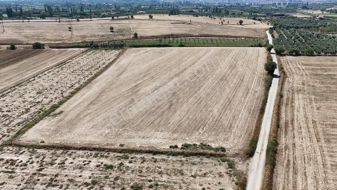 Tire Adnan Menderes Satılık Tarla Şahin Gayrimenkul Den Adanan Menderes Mah Satılık 23,150m2 Yatırımlık Tarla