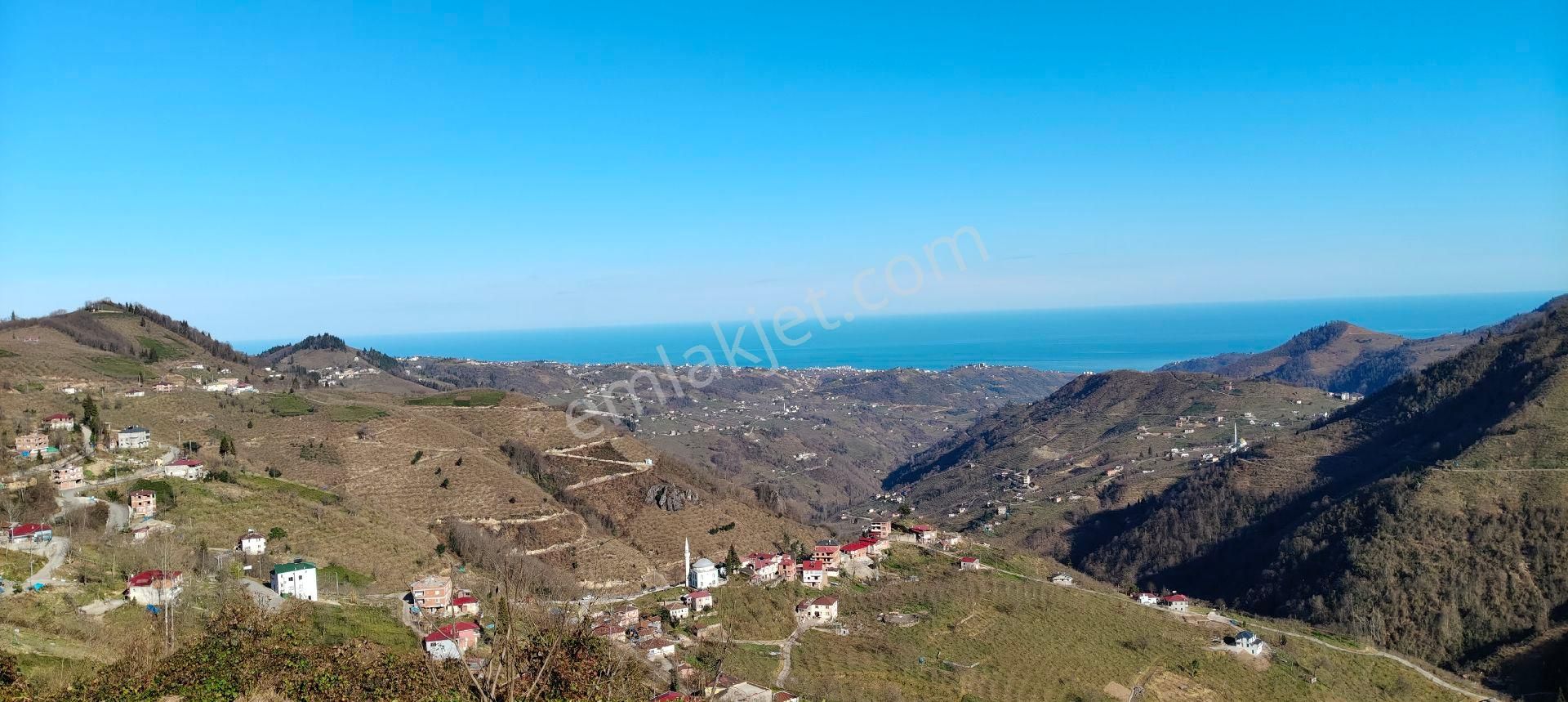 Ortahisar Esenyurt Satılık Bağ & Bahçe Sahibinden Net 1 Dönüm Doğa Deniz Manzaralı Arsa