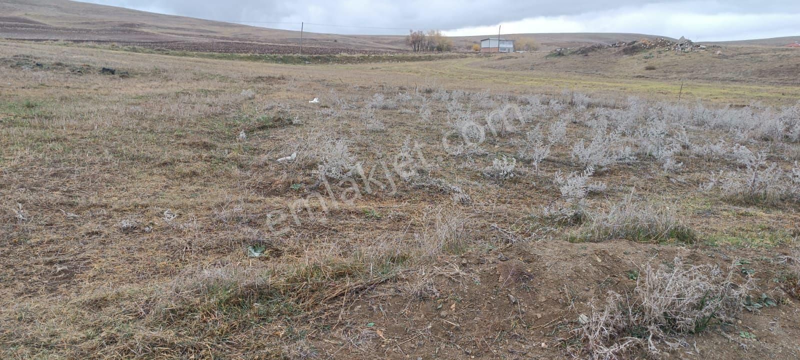 Çorum Merkez Eskice Köyü Satılık Tarla Müstakil Tek Tapulu Hem Yatırımlık Hem Kullanımlık