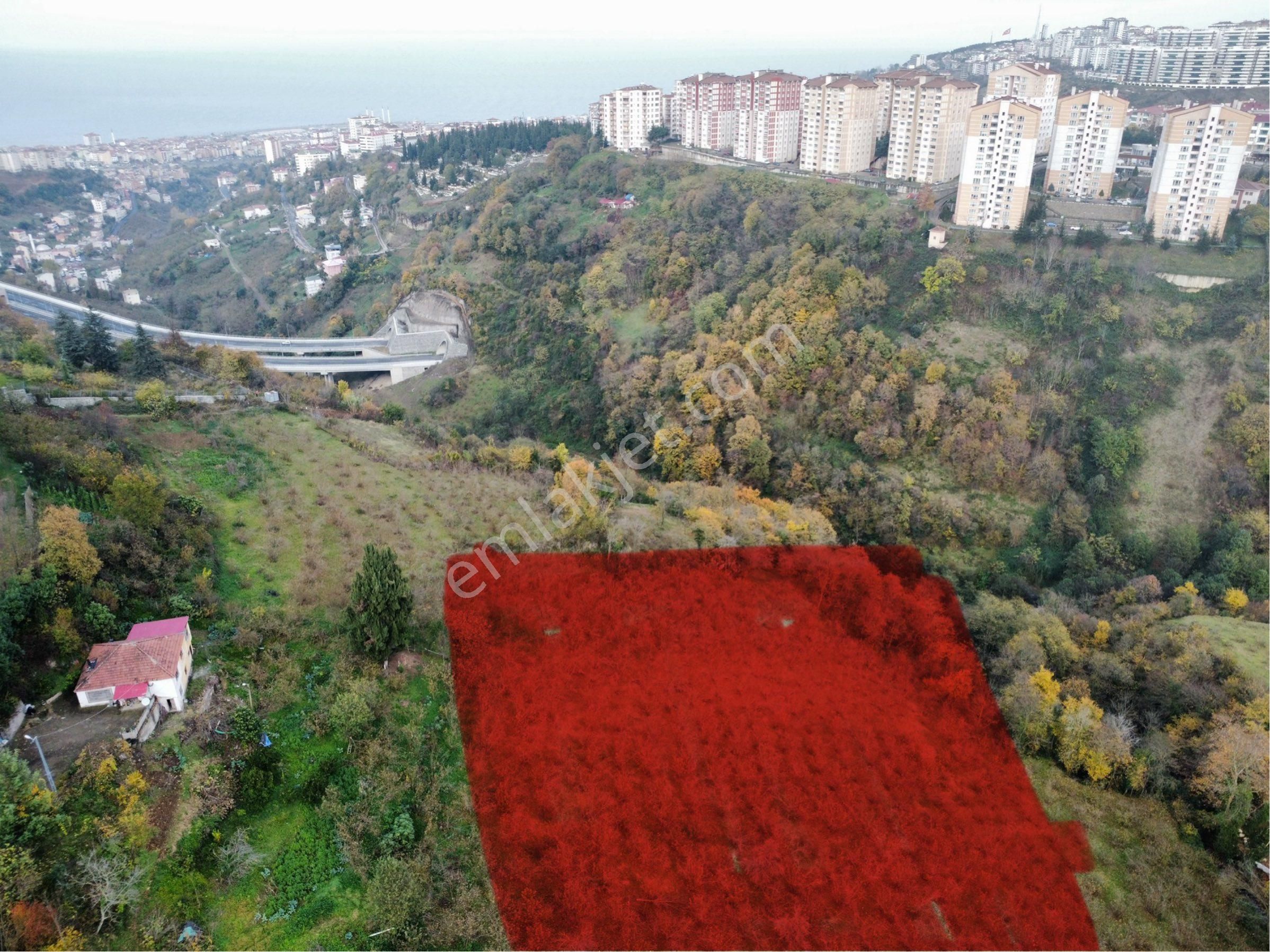 Ortahisar Çamoba Satılık Villa İmarlı Trabzon Çamobada Satılık 5 Dönüm Arsa