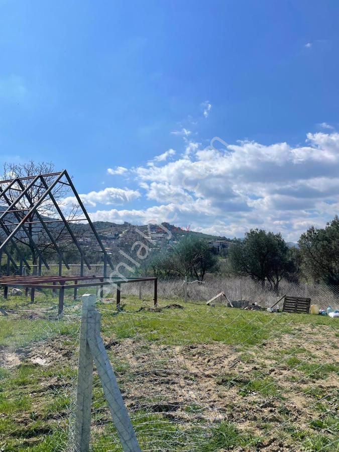 Söğütlü Akarca Satılık Tarla Söğütlü Akarcada Geleceği Parlak Yatırımlık Arazi