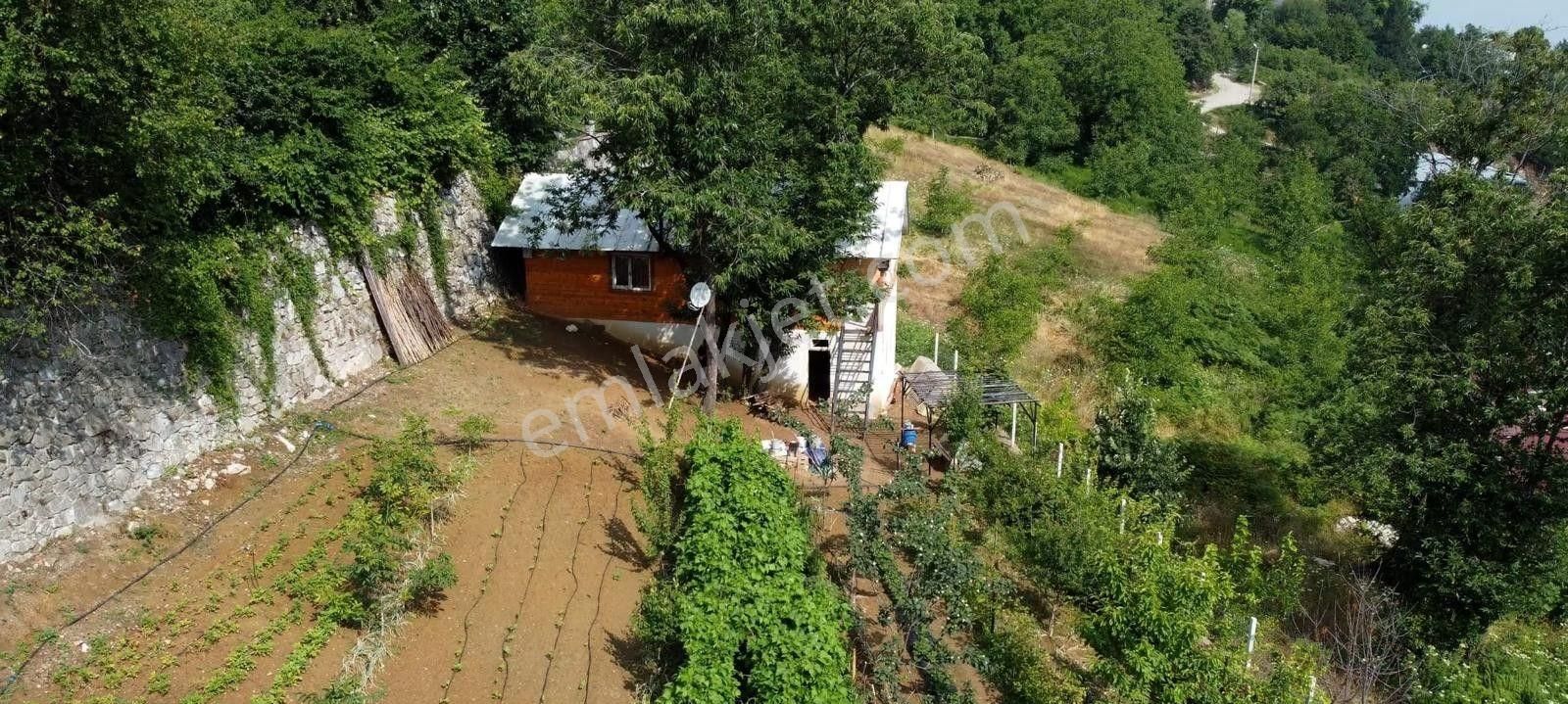 Bursa Kestel Saitabat Köyünde Satılık 1707 M2 İmar Dibinde Ev,su,yol Ve Elektrik Olan Hobi Bahçesi - Görsel 7