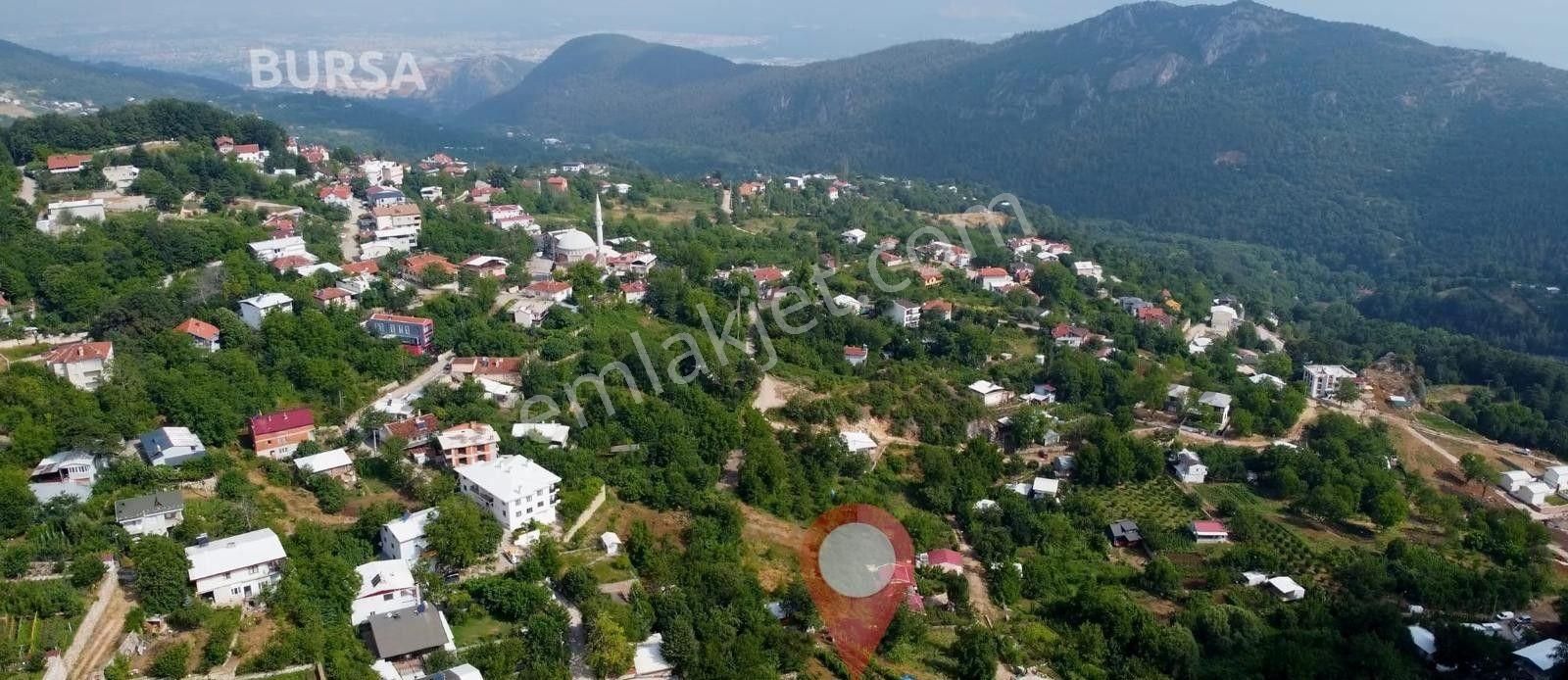 Bursa Kestel Saitabat Köyünde Satılık 1707 M2 İmar Dibinde Ev,su,yol Ve Elektrik Olan Hobi Bahçesi - Görsel 5