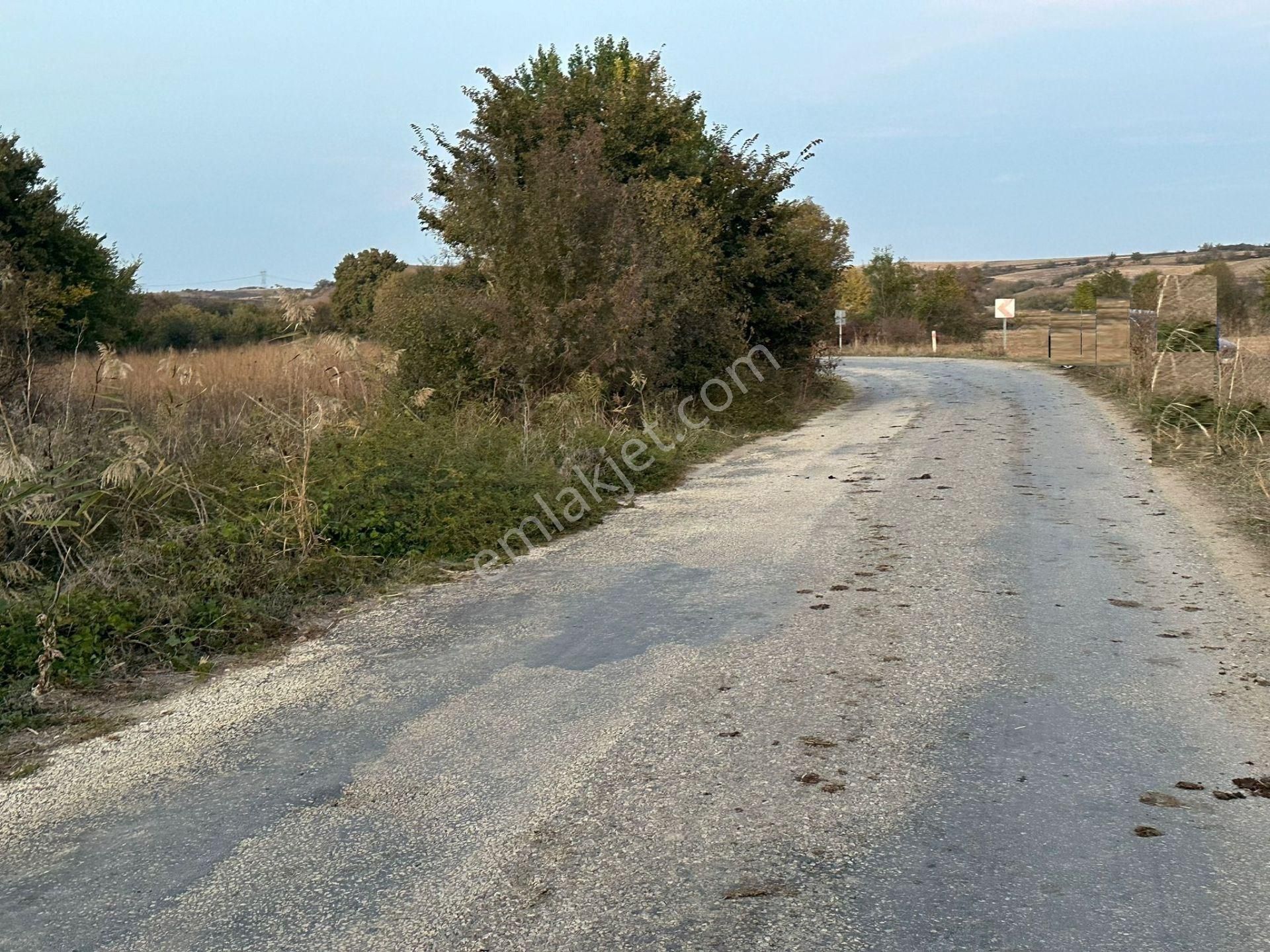 Pehlivanköy Kuştepe Köyü Satılık Tarla Kırklareli Pehlivanköy Kuştepe Asfalt Yol Cepheli Satılık Tarla