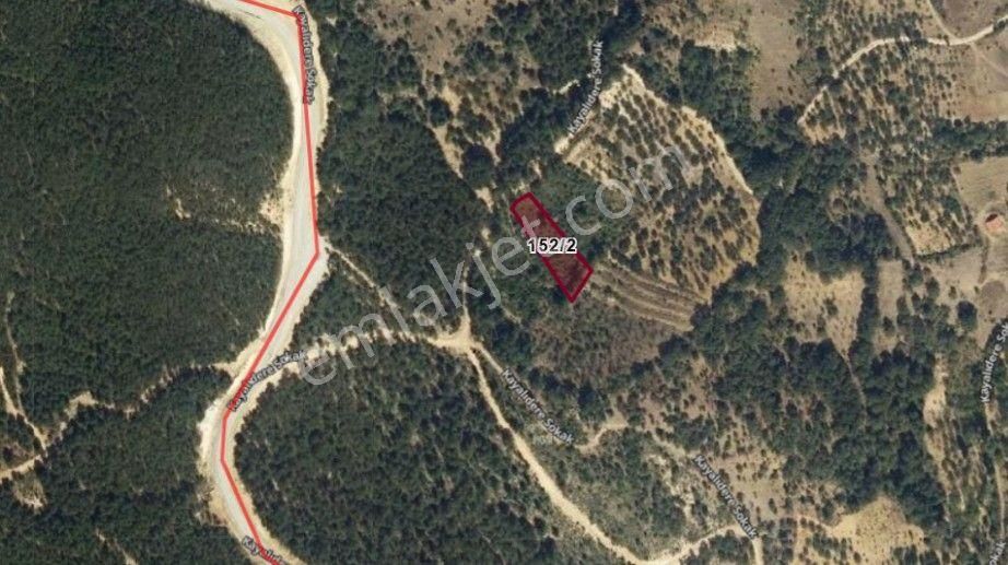 Şaphane Subaşı Satılık Tarla Kütahya Şaphane Subaşı Köyünde 1445m² Tarlamız Satılıktır