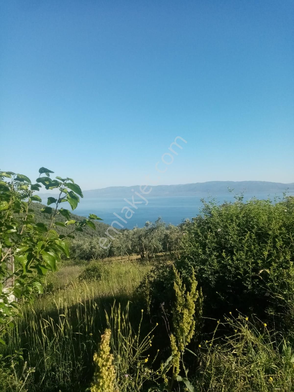Güneyden Bursa İznikte Satılık 635m2 Köyün Yanı Başında Arsa - Görsel 2