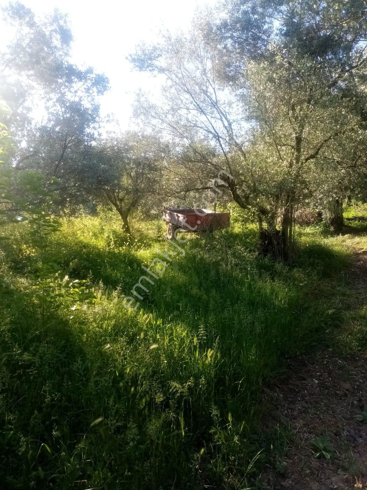 Güneyden Bursa İznikte Satılık 635m2 Köyün Yanı Başında Arsa - Görsel 3