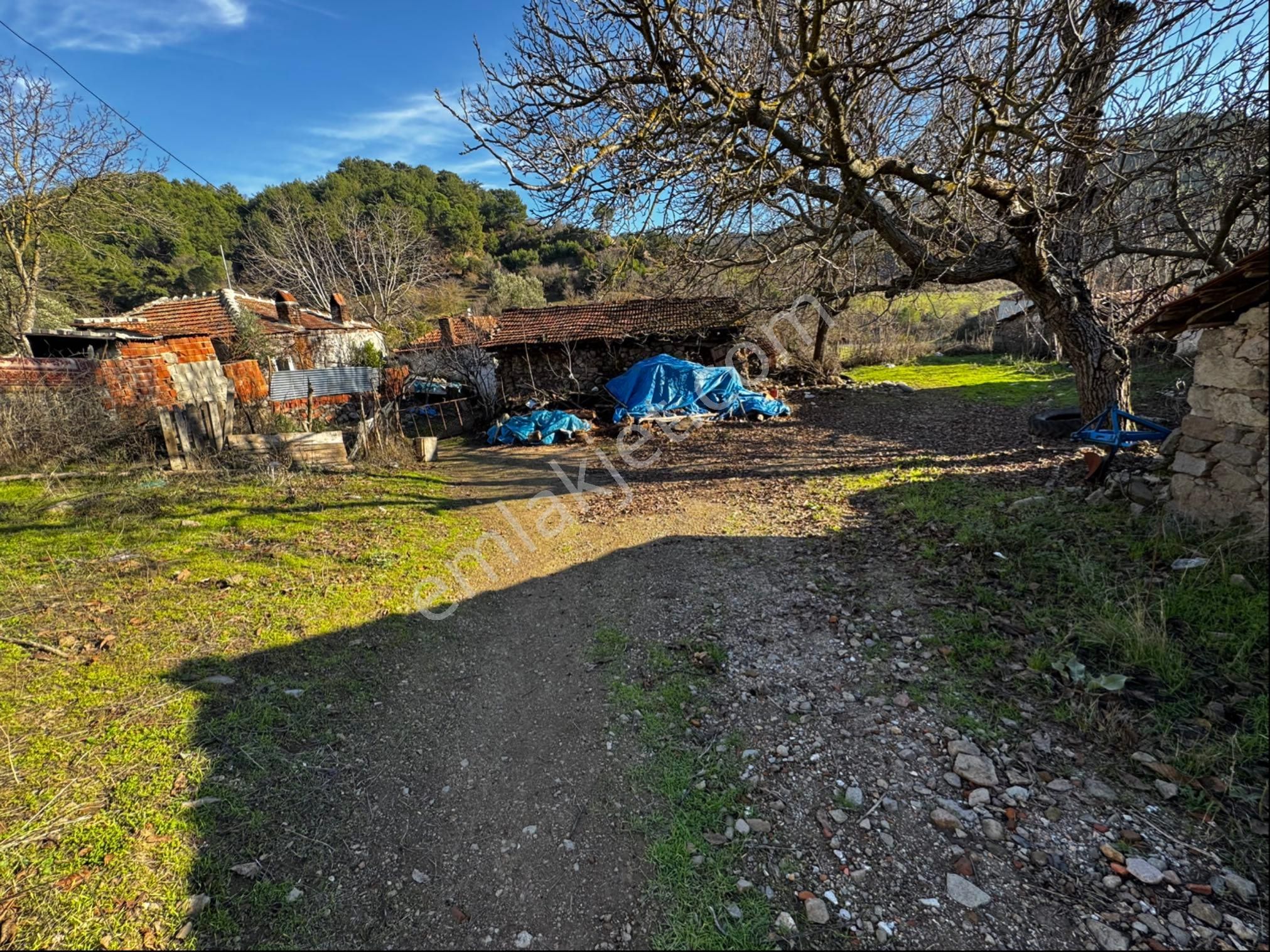 Kozak İncecikler Köy İçinde Hobi Bahçesi - Görsel 11