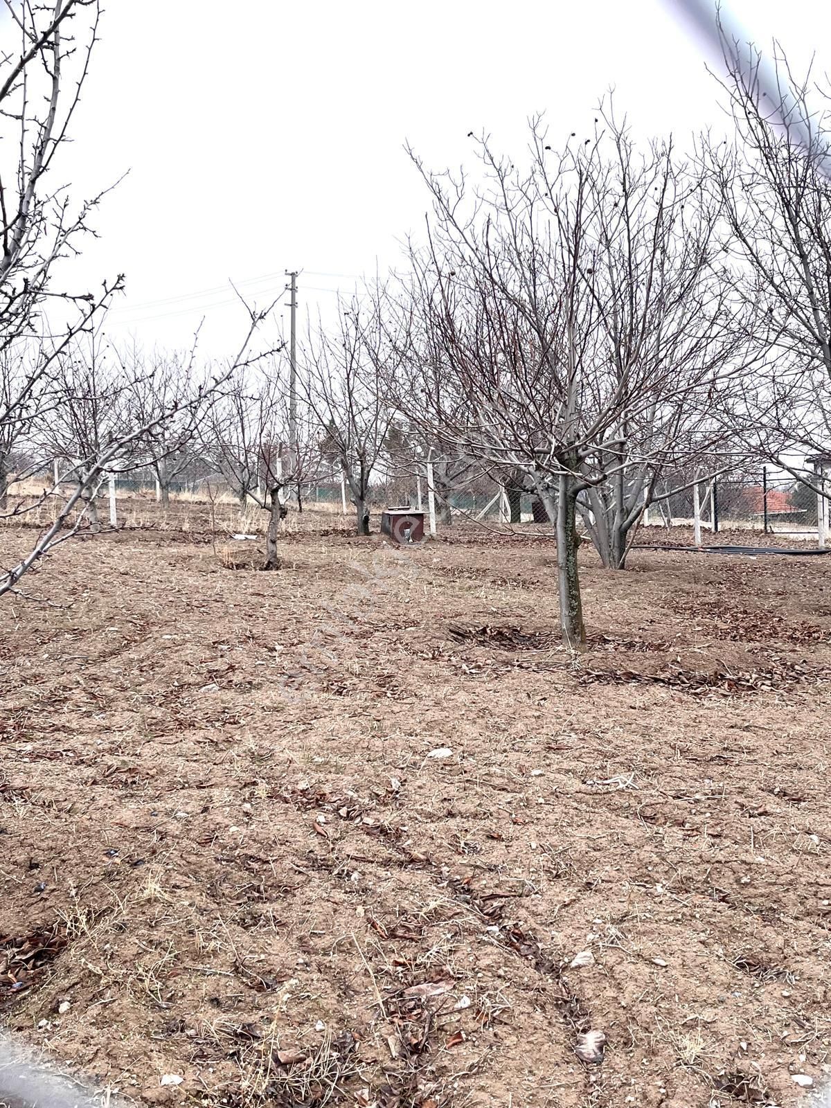 Ankara Kazanç Gayrimenkulden Satılık Asfalt Cephe Yatırımlık 672 M2 İmarlı Arsa !! - Görsel 28