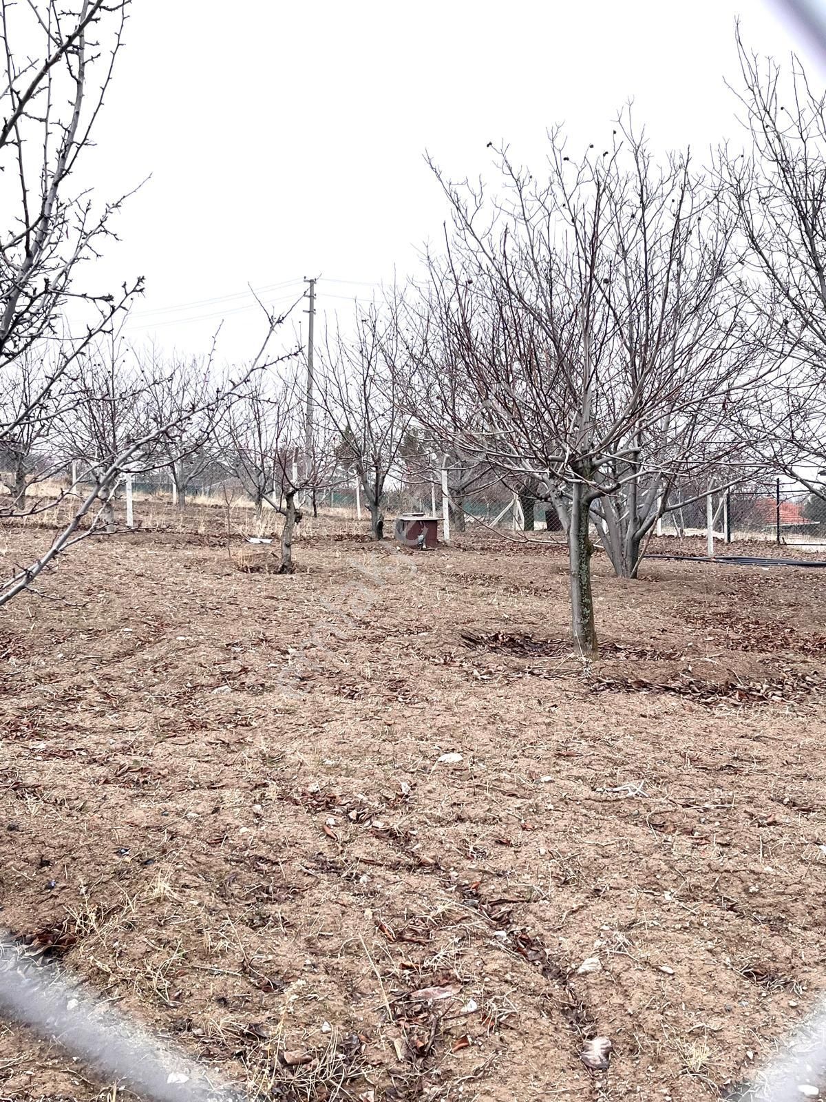 Ankara Kazanç Gayrimenkulden Satılık Asfalt Cephe Yatırımlık 672 M2 İmarlı Arsa !! - Görsel 24