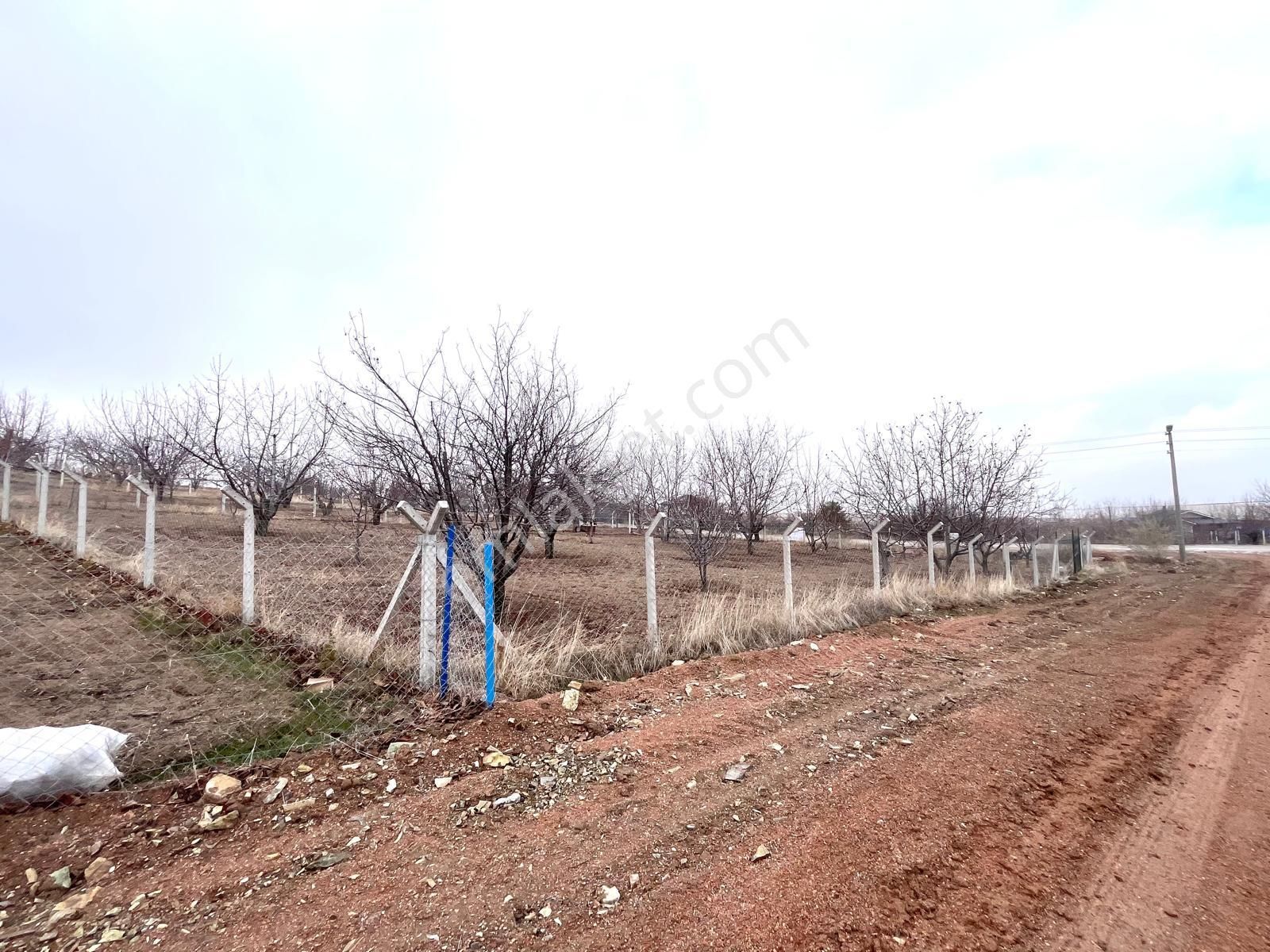 Ankara Kazanç Gayrimenkulden Satılık Asfalt Cephe Yatırımlık 672 M2 İmarlı Arsa !! - Görsel 5