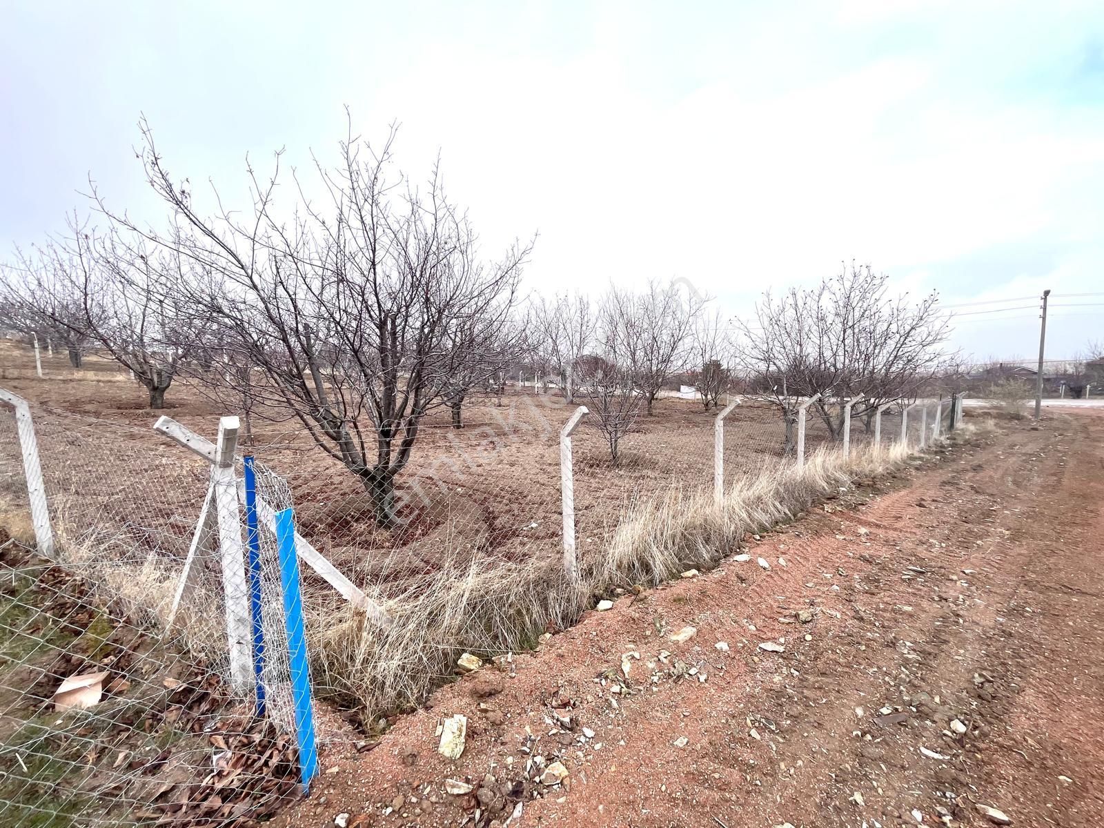Ankara Kazanç Gayrimenkulden Satılık Asfalt Cephe Yatırımlık 672 M2 İmarlı Arsa !! - Görsel 2