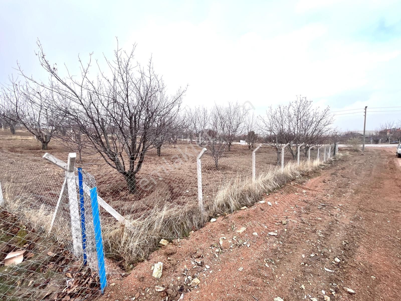 Ankara Kazanç Gayrimenkulden Satılık Asfalt Cephe Yatırımlık 672 M2 İmarlı Arsa !! - Görsel 3