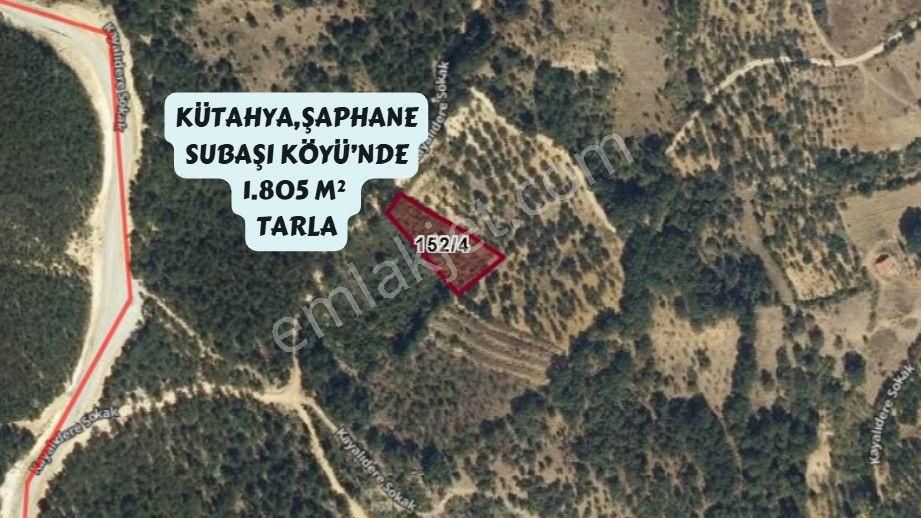 Şaphane Subaşı Satılık Tarla Kütahya Şaphane Subaşı Köyünde 1805m² Tarlamız Satılıktır