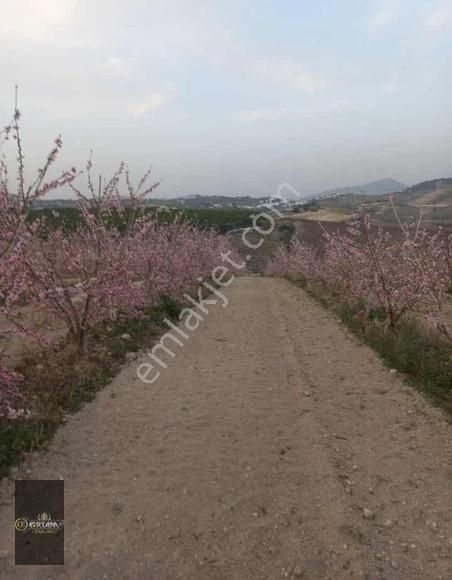 Akdeniz Sarıibrahimli Satılık Tarla Ortam Emlak'tan Sarıibrahimli'de 13.434m2 Tarla