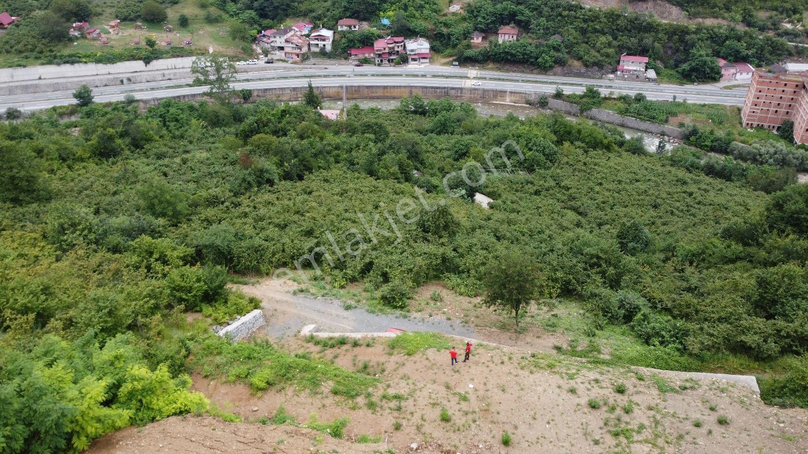 Maçka Mataracı Satılık Bağ & Bahçe Remar Gayrimenkul Maçka Mataracı Doğa Manzaralı Satılık Arsa