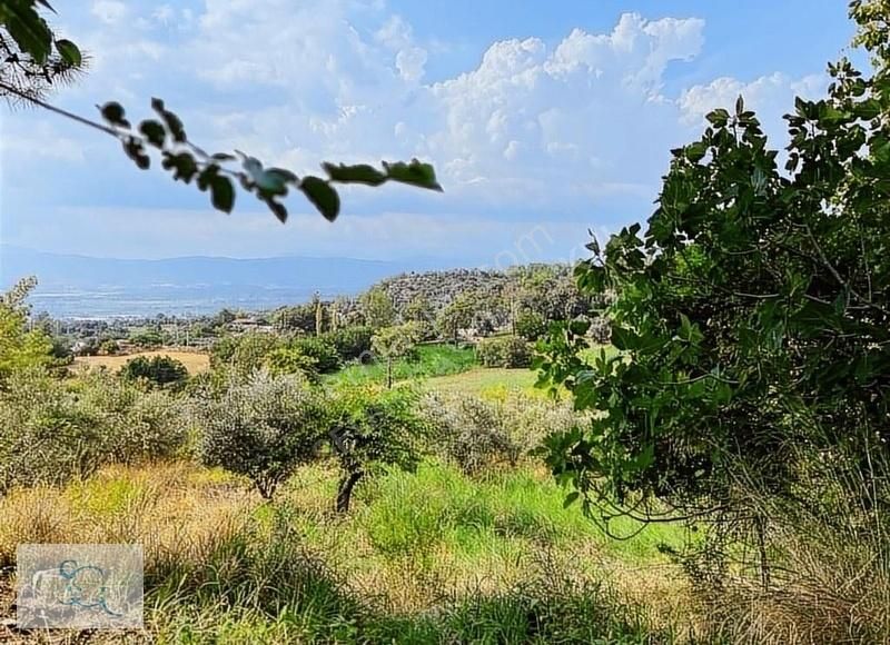 Seydikemer Bağlıağaç Satılık Tarla Sedir Gm'den Bağlıağaç Mh. 5400 M2 Satılık Arazi