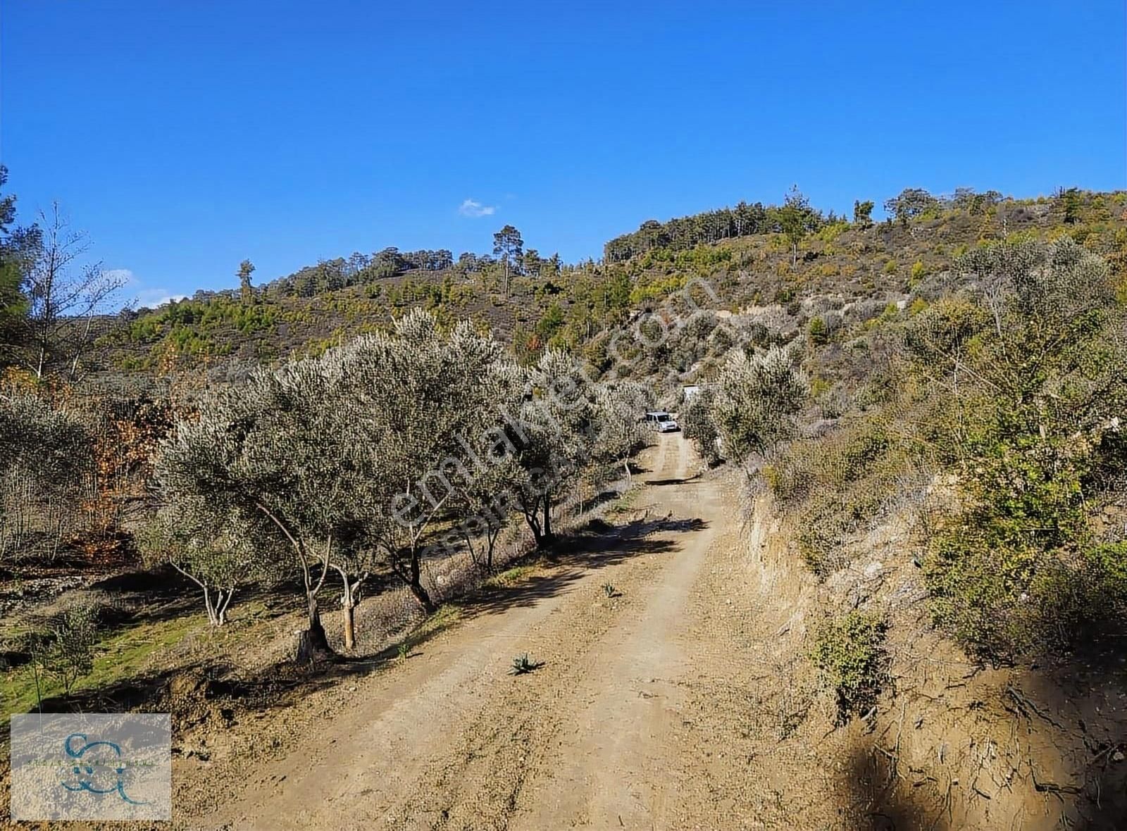 Seydikemer Atlıdere Satılık Tarla Sedir Gm'den Sahil Atlıdere Mh. 2.417 M2 Satılık Parsel