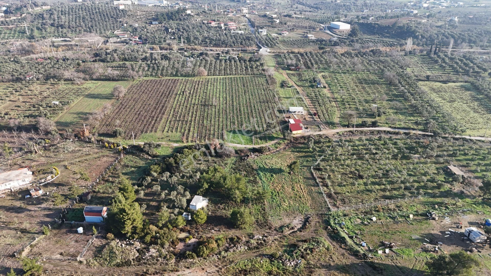 Dereköyde Satılık Tek Tapu 1.100 M2 Bahçe 21 M2 Konteynır Elektrik+su - Görsel 2