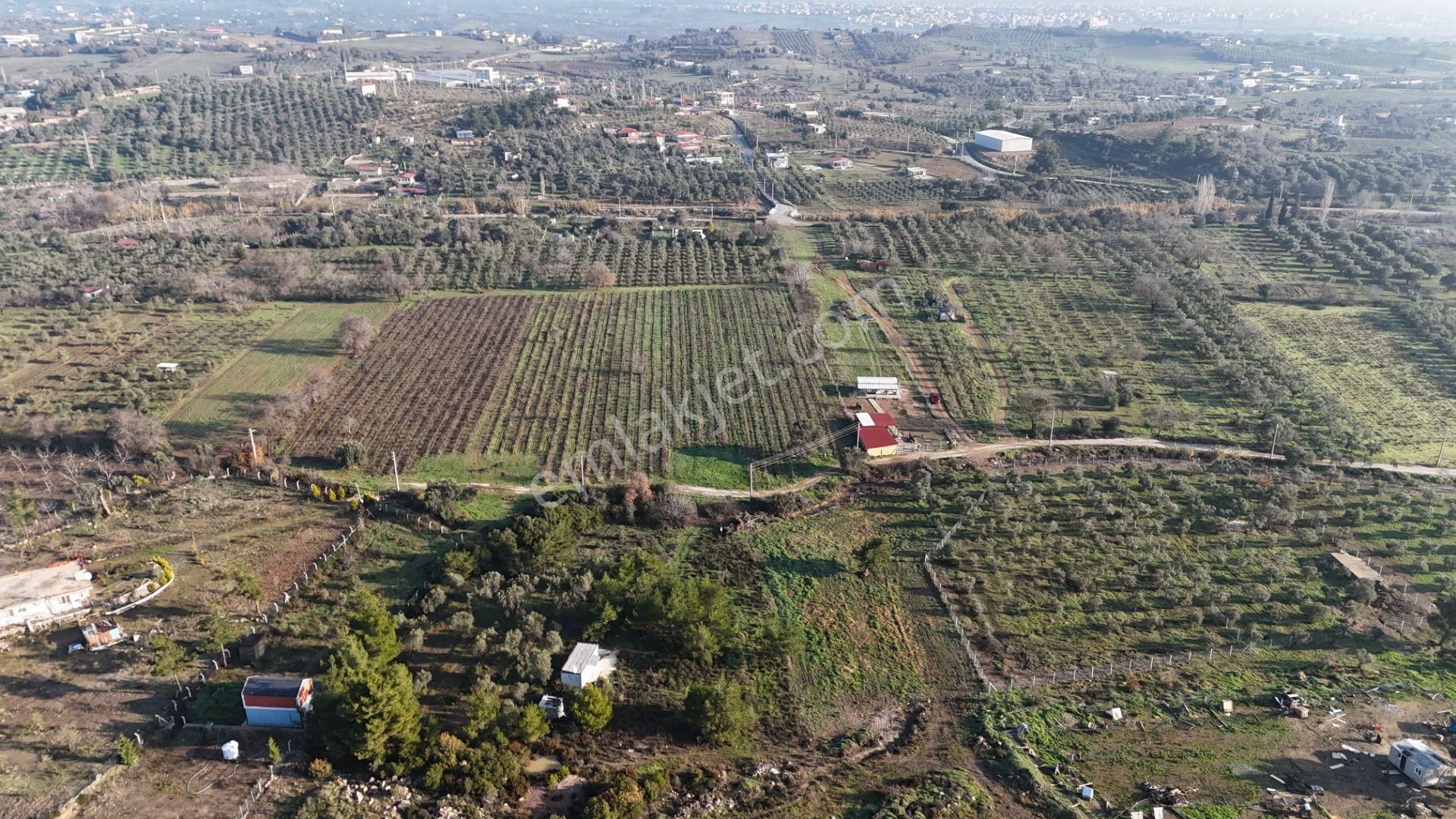 Menderes Dereköy Satılık Tarla Dereköyde Satılık Tek Tapu 1.100 M2 Bahçe 21 M2 Konteynır Elektrik+su