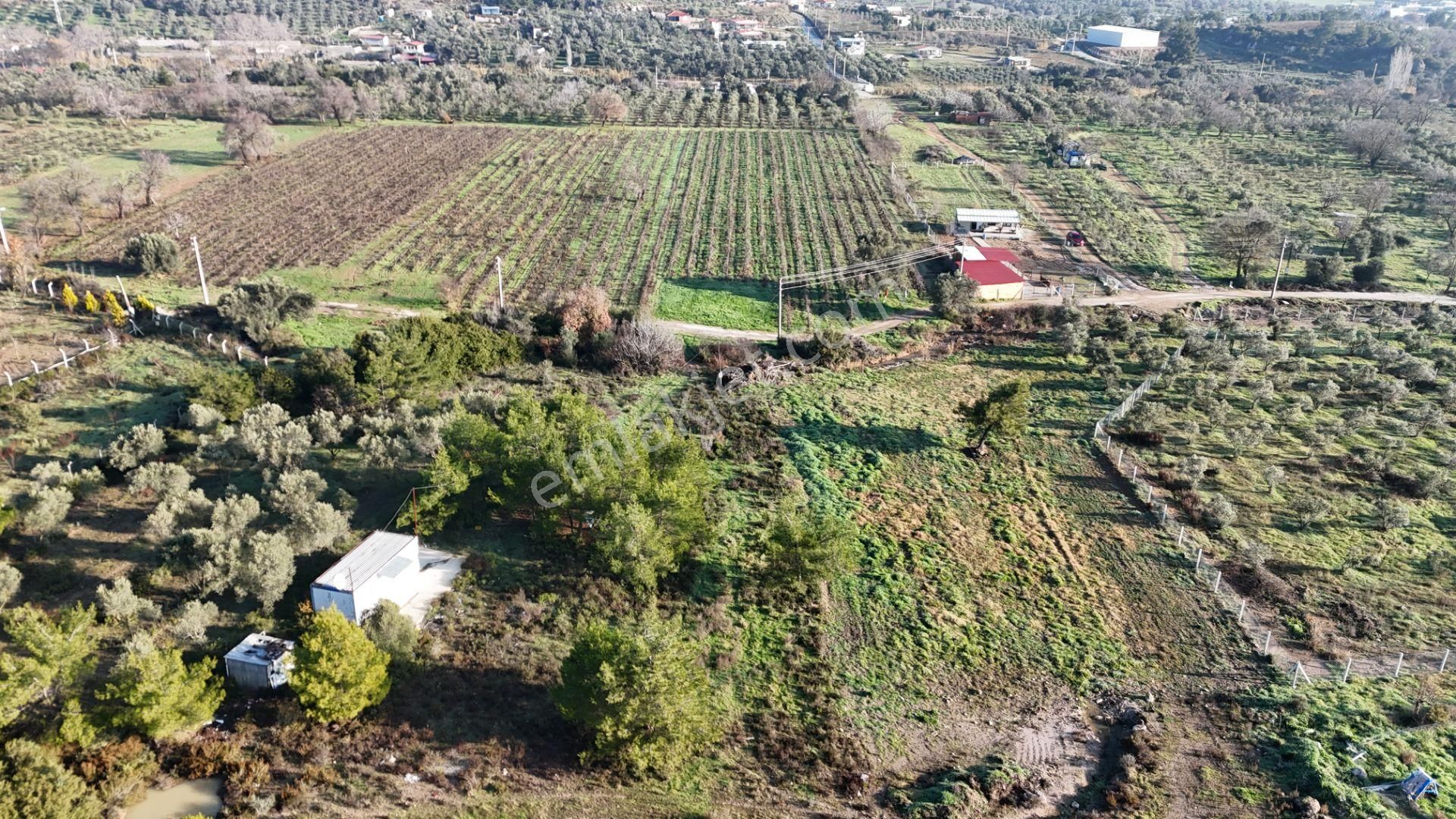 Dereköyde Satılık Tek Tapu 1.100 M2 Bahçe 21 M2 Konteynır Elektrik+su - Görsel 4