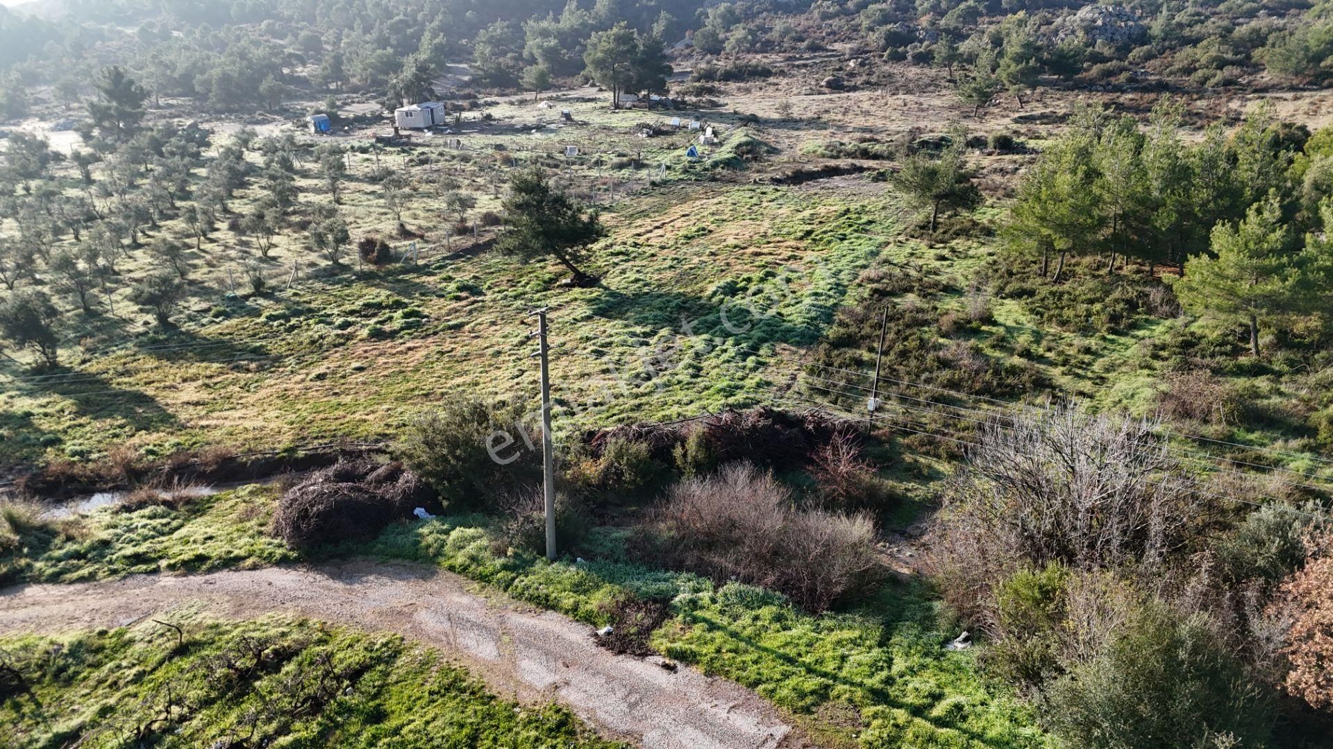 Dereköyde Satılık Tek Tapu 1.100 M2 Bahçe 21 M2 Konteynır Elektrik+su - Görsel 7