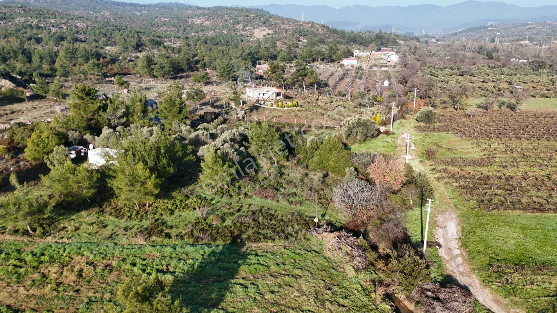 Dereköyde Satılık Tek Tapu 1.100 M2 Bahçe 21 M2 Konteynır Elektrik+su - Görsel 5