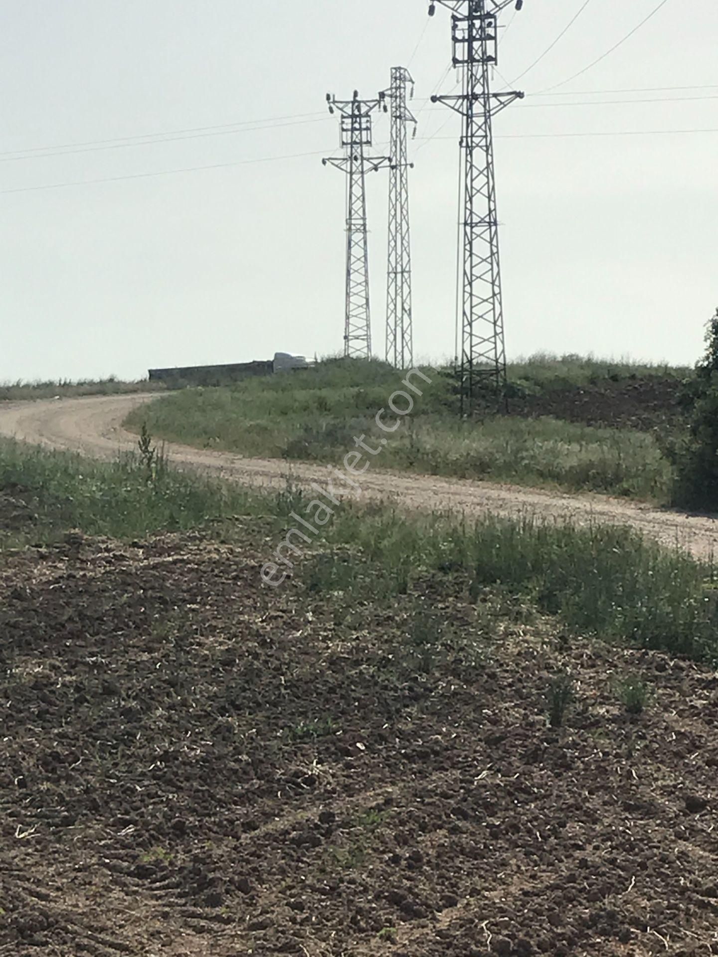 Kırklareli Merkez Deveçatağı Köyü Satılık Tarla Kırklareli Deveçatagı Köyü Yol Cephe Elektirik Su Var