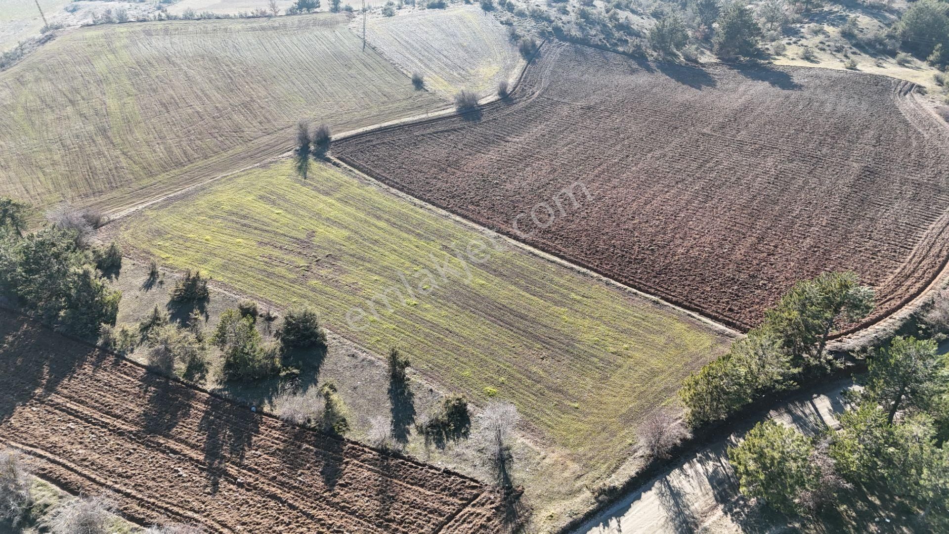 Kastamonu Merkez Halife Köyü (Merkez) Satılık Tarla Kastamonu Emlak Gayrimenkul'den Halife Köyü 1944m² Tarla