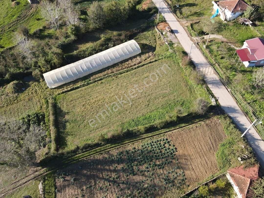 Kandıra Çalköy Satılık Konut İmarlı %40 İmarlı Acil Satılık Arsa